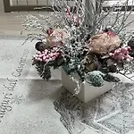 L'orchidea * Soci